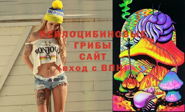 MDMA Premium VHQ Коряжма