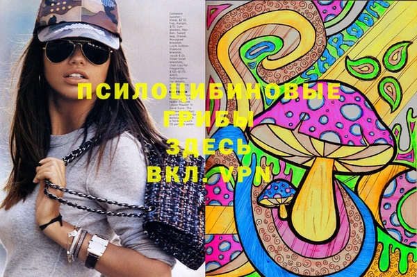 гашик Козловка