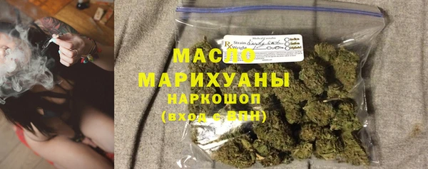 гашик Козловка