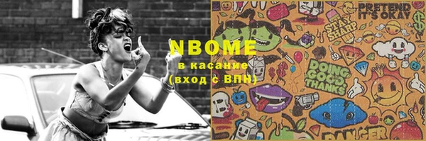 гашик Козловка