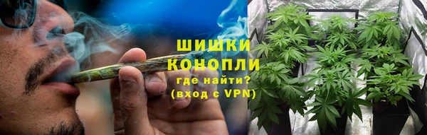 крисы Костерёво