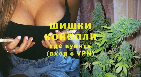 spice Козельск