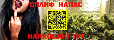 сатива Заволжье