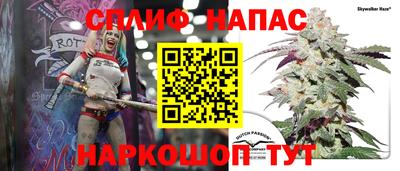 сатива Заволжье