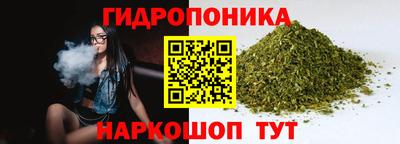 сатива Заволжье