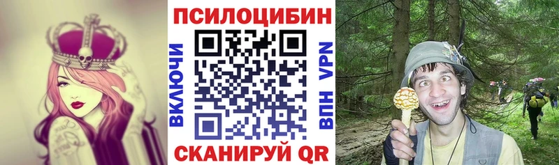 Псилоцибиновые грибы Psilocybe  дарк нет состав  Пермь 