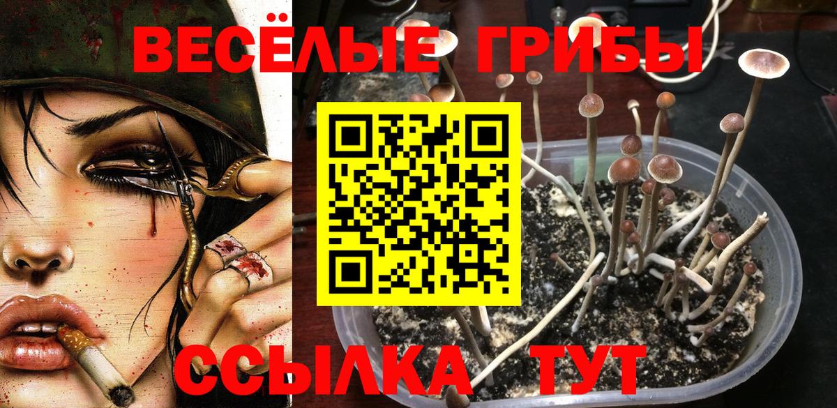 Псилоцибиновые грибы GOLDEN TEACHER  Галлюциногенные грибы ЛСД  Пермь 